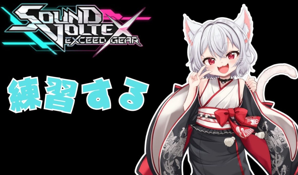 【SOUND VOLTEX EXCEED GEAR】練習【カルランの遊び場】