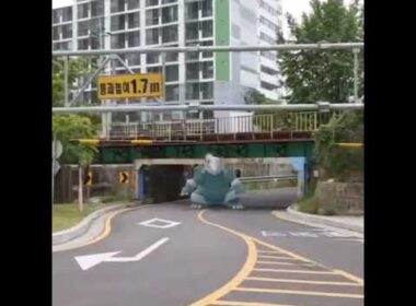 보스로라 ( Aggron ) ボスゴドラ ( 波士可多拉 )