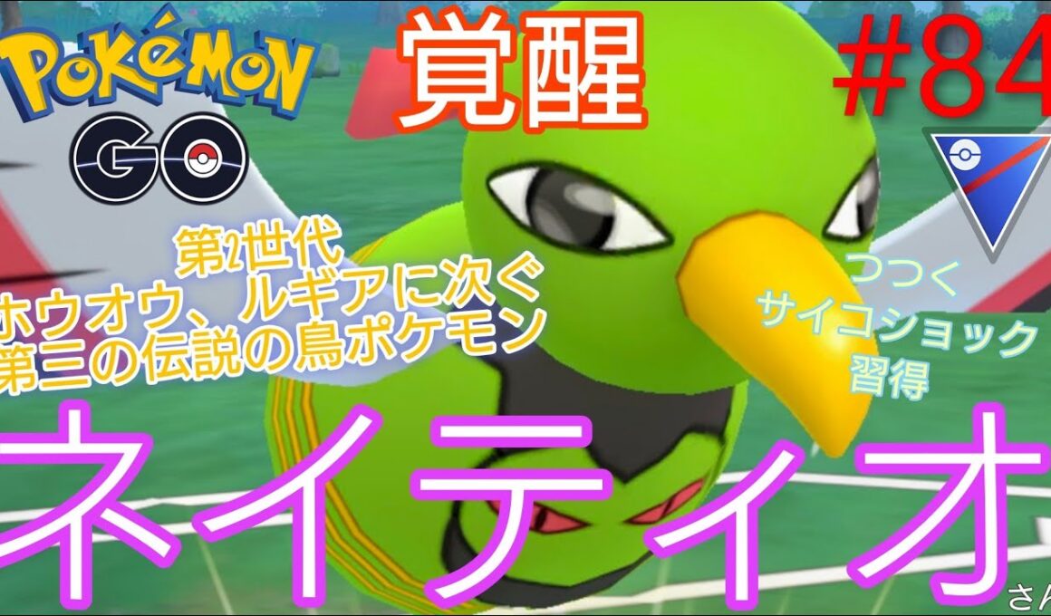 【スーパーリーグ】第二世代のルギア、ホウオウに次ぐ第3の伝説の鳥ポケモン‼︎ネイティオさんが遂に覚醒‼︎ネイティオ、タチフサグマ、ネンドール