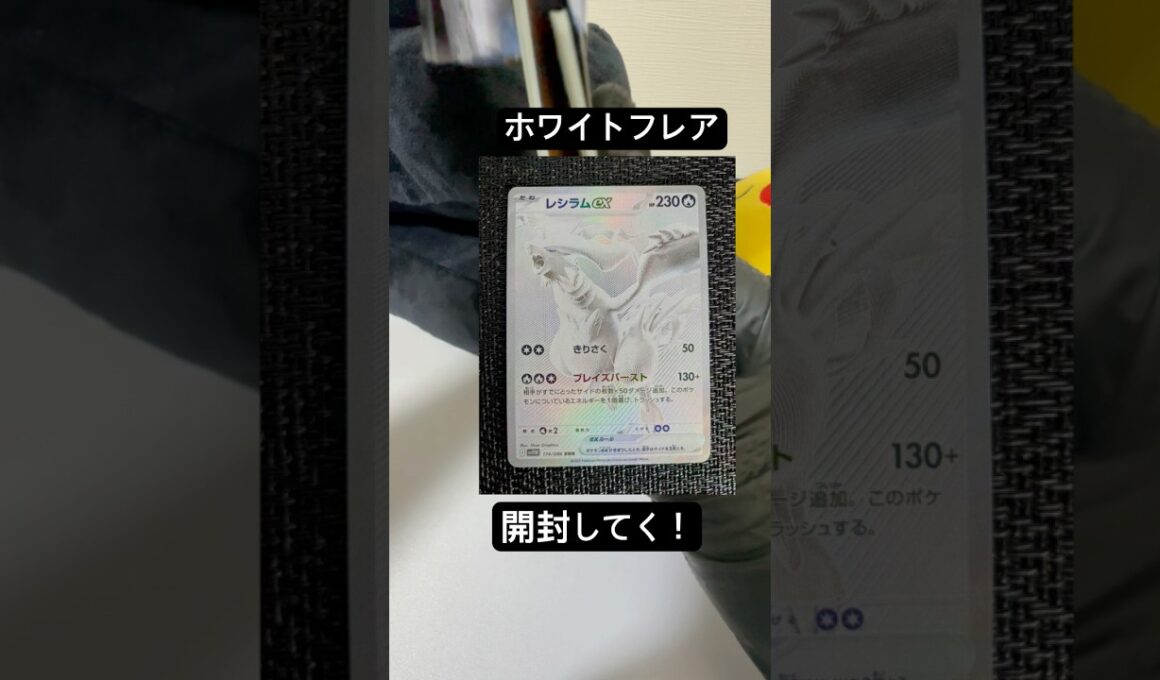 レシラムを狙ってくー！#ポケモンカード #ポケカ再販最新情報 #ポケカ #ポケモン #ポケカ開封 #ブラックボルト