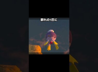 膨らんで巨大化するフワライド #ポケモン #newポケモンスナップ