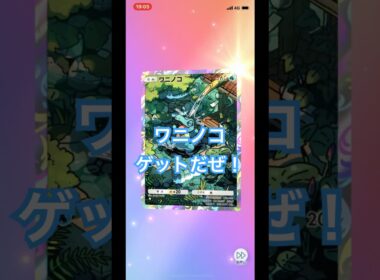 【開封動画】ワニノコ #ポケカ開封動画 #ポケモンカード #ポケポケ #ポケモン #ポケカ #pokemon