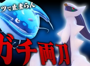 【役割破壊】神速アルセウスにあの技を仕込むだけでヘイラッシャで止まらなくなります。【ポケモンSV】