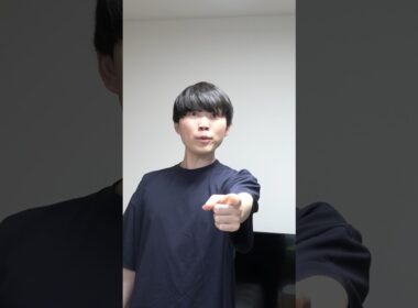 ポケモン廃人だけが聞こえる空耳