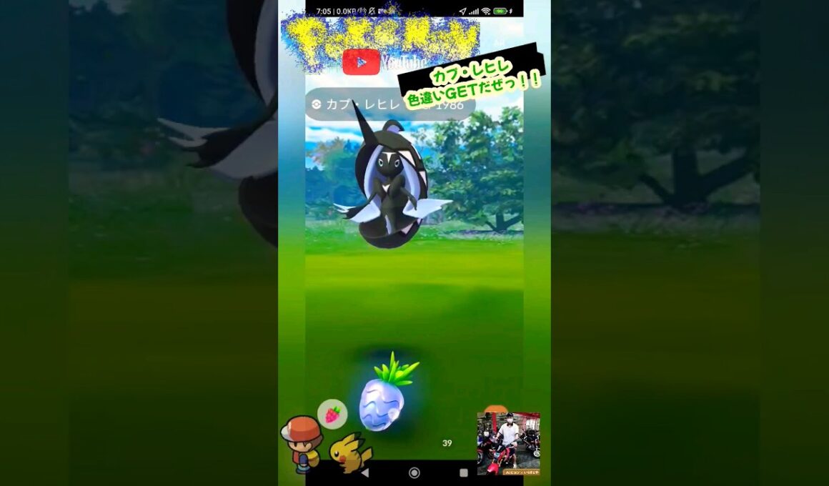 【Pokémon GO】奇跡！カプ・レヒレ色違いGET！！（ファミマでちいかわのパン？！）