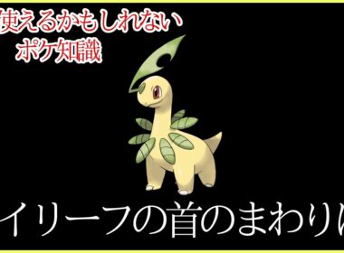 【ポケモン雑学】明日から使えるかもしれないポケ知識をあなたに…ベイリーフの首のまわりは...【7選】