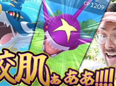 交換ボーナスが神すぎてキラポケモン13匹も！！？メガサメハダーのレイドデイ徐々に参加率が悪くなってたんだが涙【ポケモンGO】