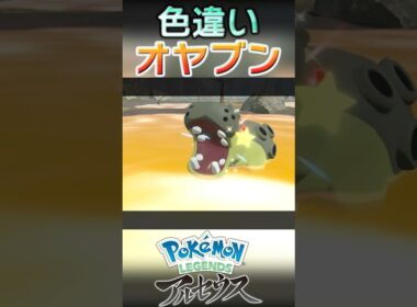 戦闘！色違いオヤブンカバルドン #shorts