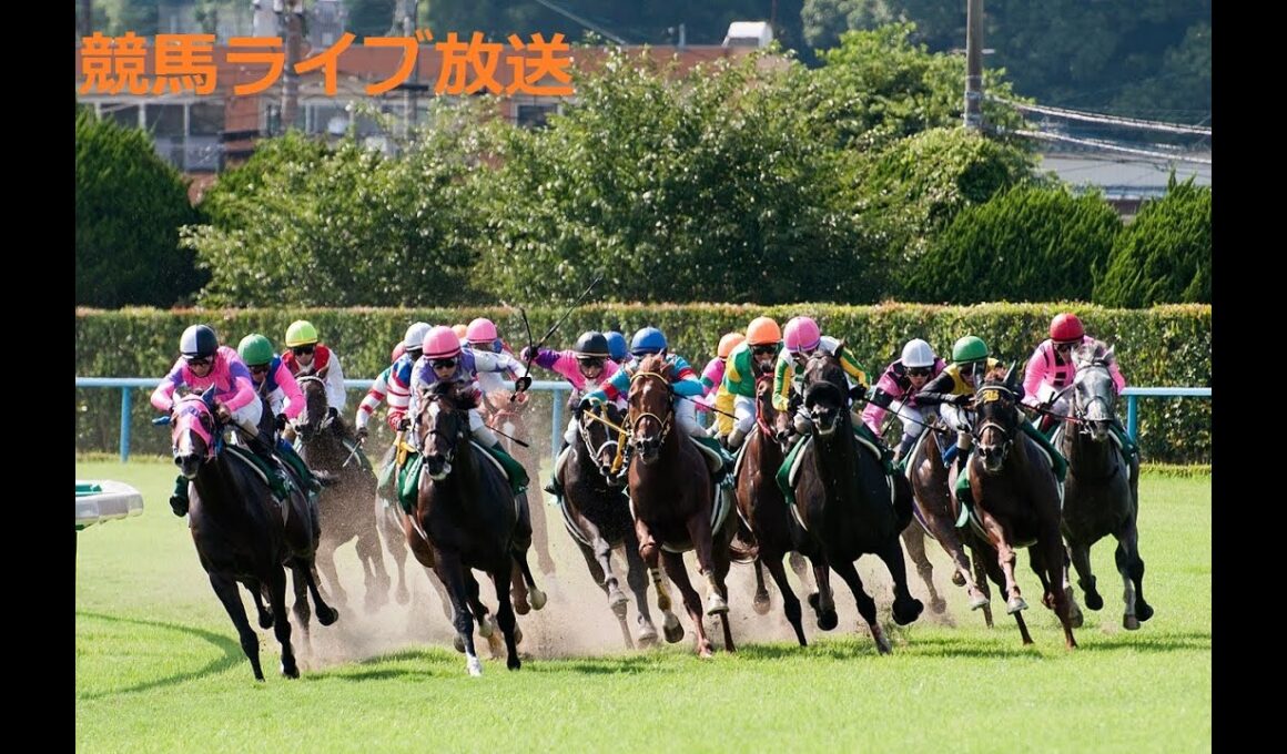 【中央競馬実況】(G2 セントウルステークス ＆ G2 紫苑ステークスの予想)