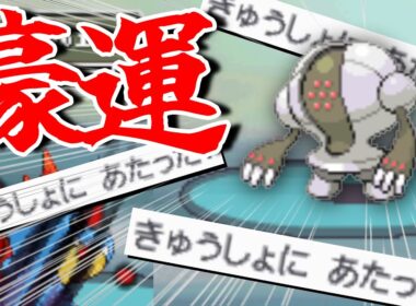 レジスチルの連続急所で狂った試合【金ネジキ戦】