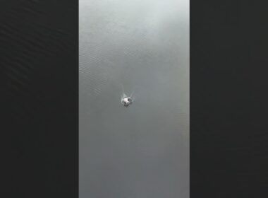 川にポイ捨てしてみた（1） #炎上 #迷惑行為 #ポイ捨て