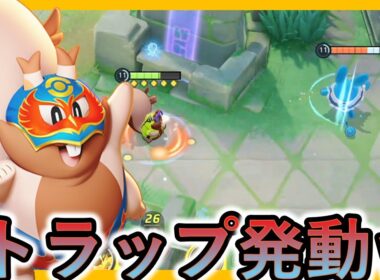 めっちゃ怒ってたから問いかけてみるヨクバリス（ポケモンユナイト）