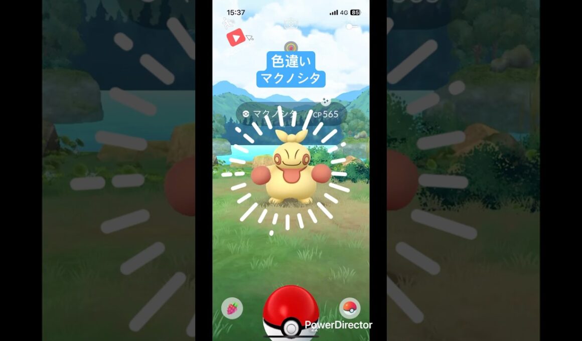 色違いマクノシタ寄せ太鼓のbgmでどぞっ！