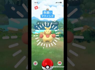 色違いマクノシタ寄せ太鼓のbgmでどぞっ！