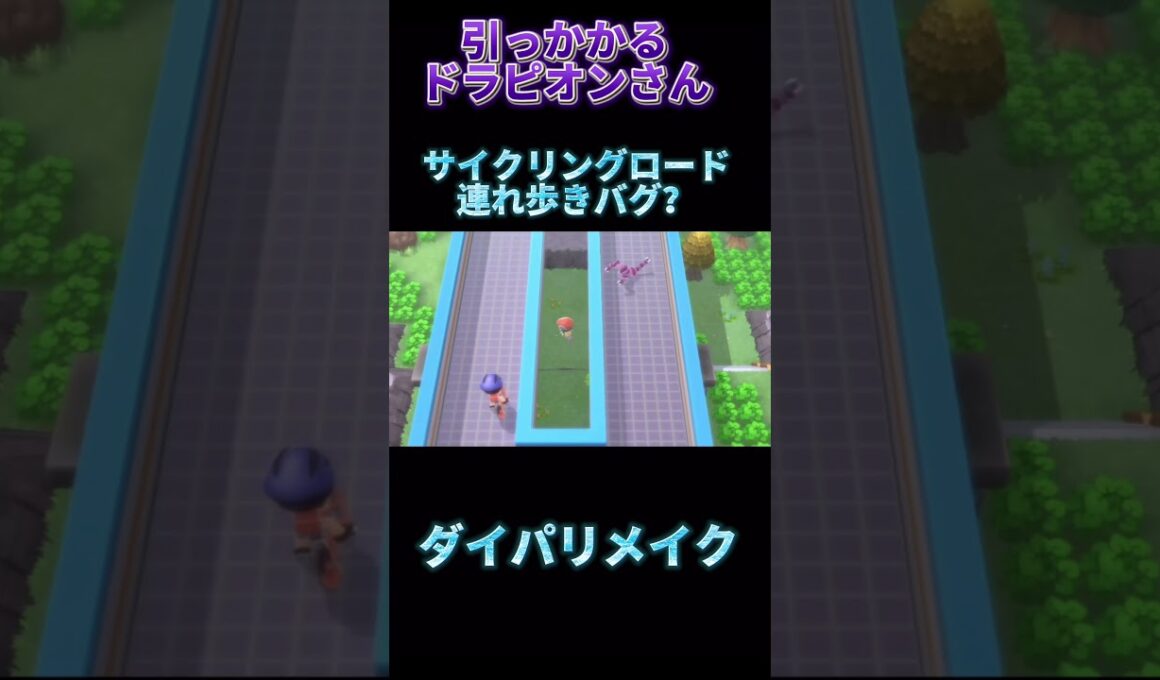 【バグ？】引っかかっても律儀についてくるドラピオンさん【ダイパリメイク】