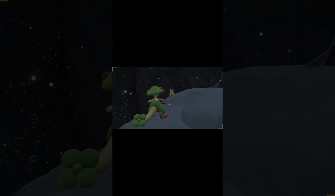 イベント大量発生で証持ち色違いバクーダ　Shiny Camerupt 【ポケモンSV】#shorts