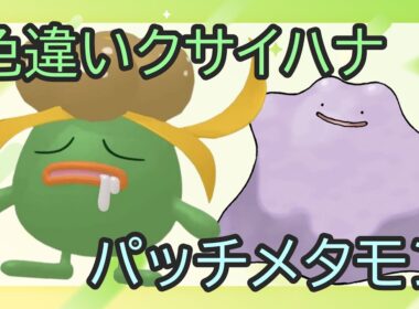 🔴【ポケモンSV】色違いクサイハナ＆とくせいパッチメタモンレイド ＋ 視聴者同士の交流所（攻略情報・レイド募集・ポケモン交換・ポケモン対戦・攻略情報など）2025年9月6日 夜～