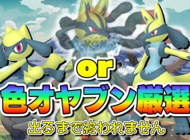 色オヤブン出るまで終わりません！【レジェンズアルセウス】