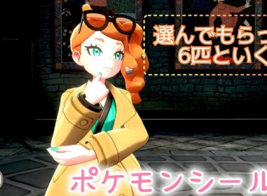 ♯9  恋の街ナックルシティ【ポケモンシールド】