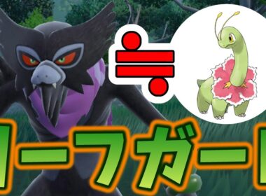 【SV】ザルードという高級メガニウムを使っていくぞ！！