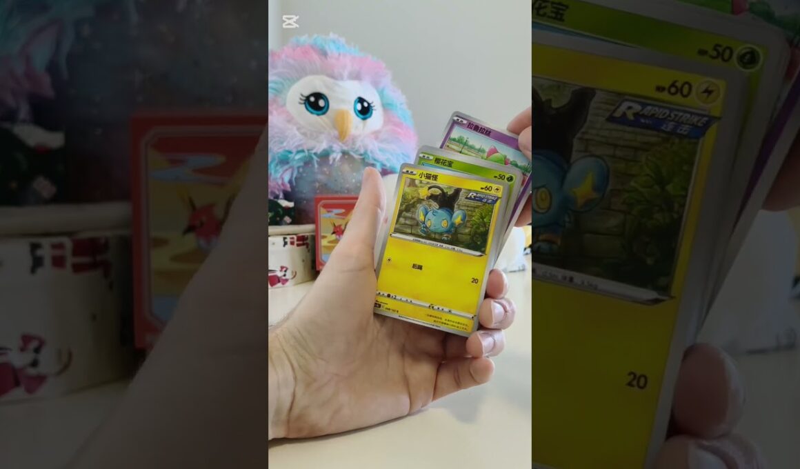 Day 1 Search for Blastoise Exclusive Simplified Chinese Pokemon Artworks