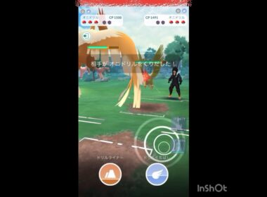 オニドリルやれんのか！(◎_◎;)