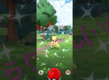 【ポケモンGO】ケーシィ色違い発見！🤩 #ポケモンgo #pokemongo #ケーシィ #色違い