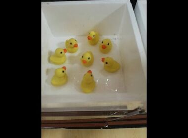 超絶久々生存報告