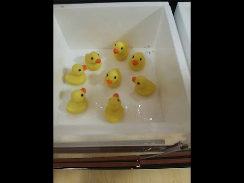 超絶久々生存報告