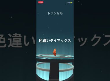 ポケモンGO 色違いダイマックスキャタピー出現！色違いトランセル、色違いバタフリーへ進化！ #pokemongo #pokémon #ポケモンgo #ポケモン