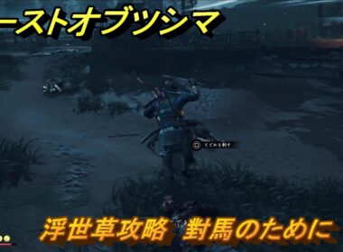 ゴーストオブツシマ　浮世草攻略　對馬のために　＃２９　【Ghost of Tsushima Director's Cut】