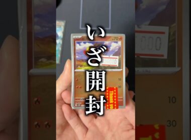 56,000円のポカブブロックオリパは強いのか…？