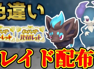 【2画面同時配布】 色ゾロア＆色イエッサン 色違いレイド配布 shiny raid 【ポケモンSV】#参加型配信