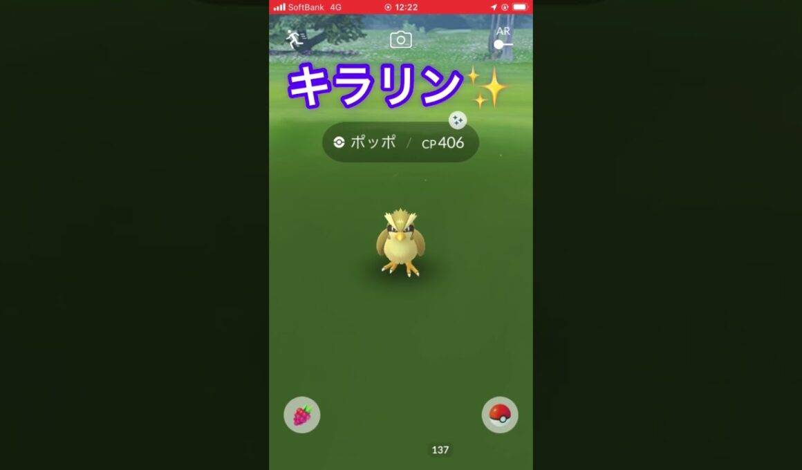 色違いのポッポをゲットだぜ😆　#ポケモンGO #色違い