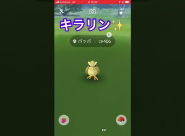 色違いのポッポをゲットだぜ😆　#ポケモンGO #色違い