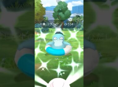 色違い浮き輪コダックぅううううう…がいない？？#ポケモンGO #色違いコダック #浮き輪コダック