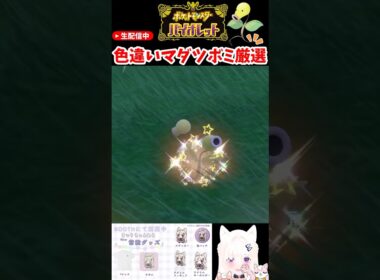 #ポケモンsv 色違いマダツボミ厳選