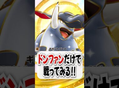 【検証】ドンファンEX単騎でウツロイド・クロバットに逆転勝利なるか!?