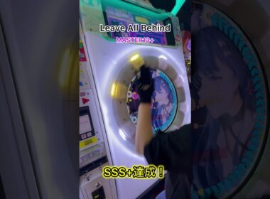 Leave All Behind SSS+達成！初見です！ラストが13.9だった...#shorts #maimai #maimaiでらっくす #phigros #音ゲー