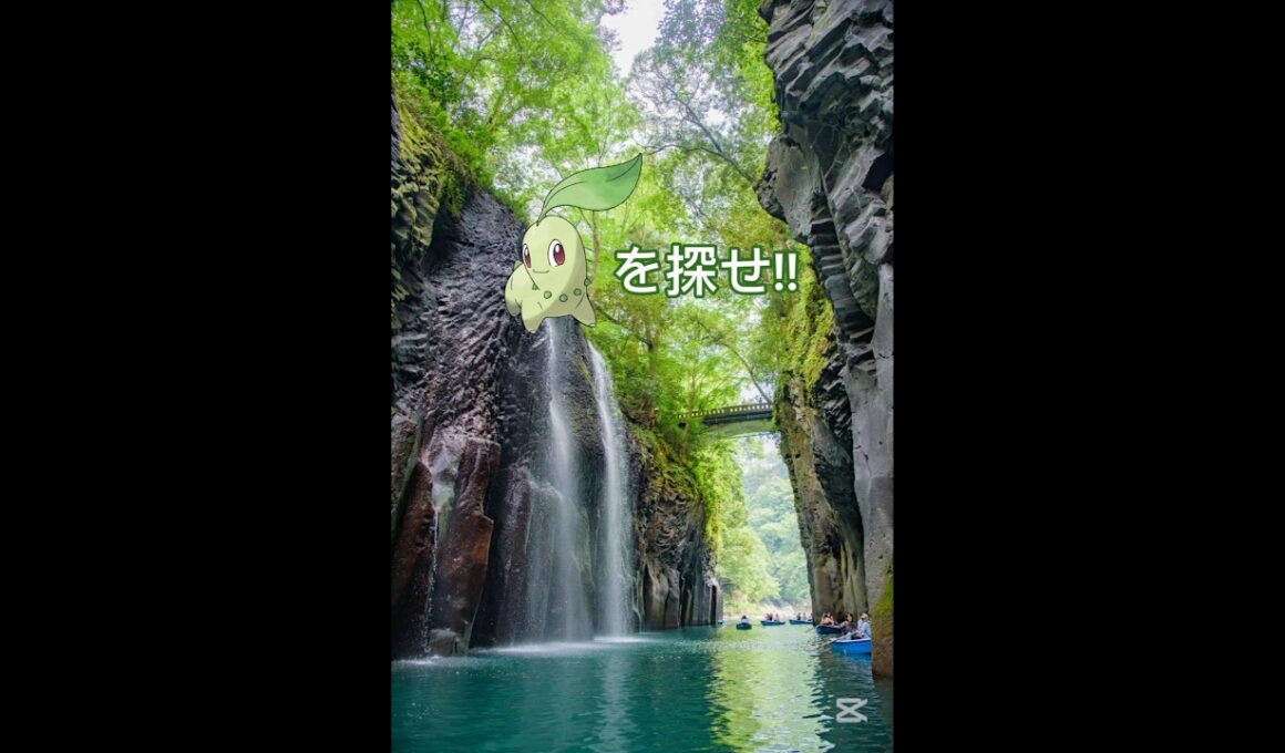 チコリータを探せ!!中級☺️#ポケモン #shorts #ポケモンクイズ