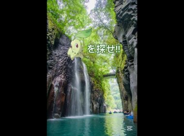 チコリータを探せ!!中級☺️#ポケモン #shorts #ポケモンクイズ