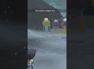 空を自由に飛びたいな「ハイ！フワライドー」色違いフワライド親分【ポケモンレジェンズアルセウス】#ポケモン #pokemon #色違い #shorts