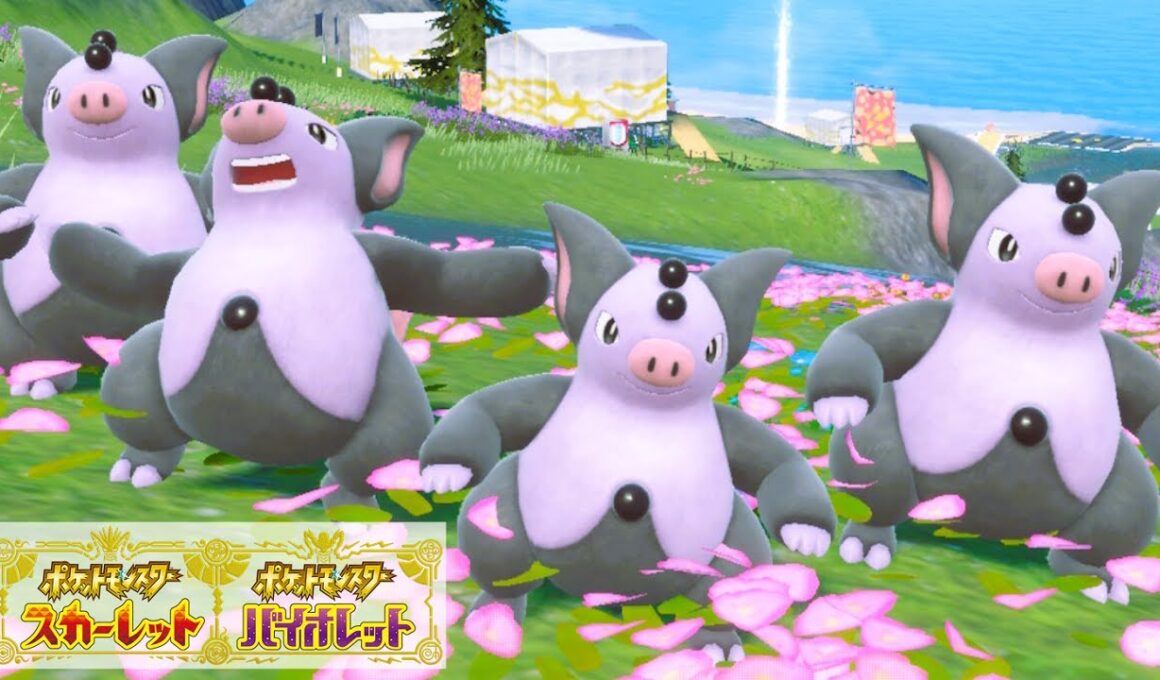 ブーピッグ６匹に囲まれて癒されピクニック【ポケモンSV】