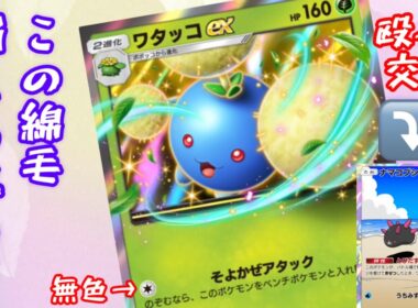 【ポケポケ】誰とでも組むことができるワタッコexはナマコブシとのヒットアンドアウェイ戦法で翻弄する。【Pokémon Trading Card Game Pocket】【ポケモン】