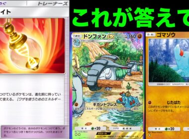 進化前の技が使える道具で1番相性がいいのがドンファンです