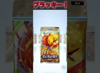 ブラッキーex！【ポケポケ】