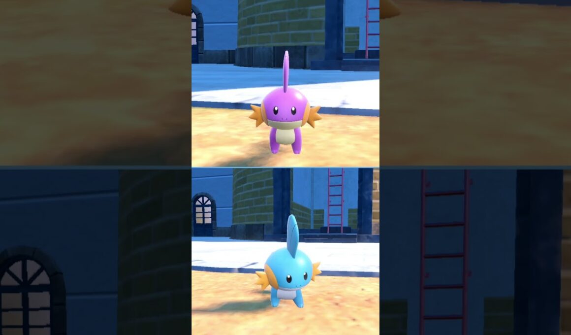 #ミズゴロウ  #ポケモン  #mudkip  #pokemonscarletandviolet