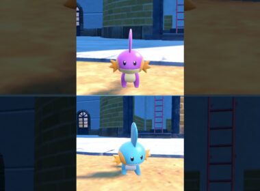 #ミズゴロウ  #ポケモン  #mudkip  #pokemonscarletandviolet