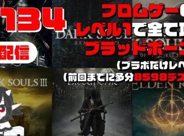 #134 【VS ゴースの遺子 Vol 1 なのです】ブラッドボーン編 #49 / フロムゲー6作 レベル1縛り攻略 / Bloodborne sl4