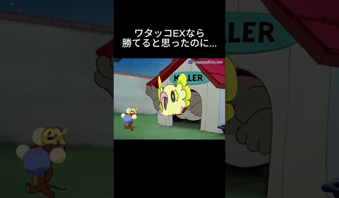 ワタッコEXデッキの中にオドリドリが入ってる件についてww #ポケポケ #オドリドリ